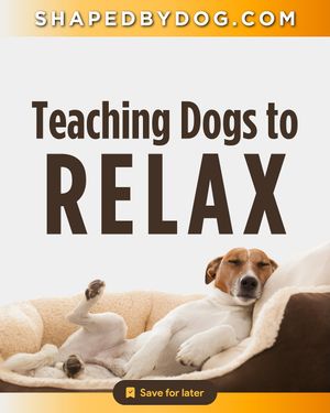 Image post by @susangarrettdogsthat on Instagram