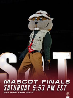 Image post by @gopherspiritsquad on Instagram