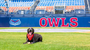 Image post by @faubaseball on Instagram