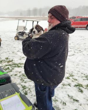 Image post by @golfdogs on Instagram