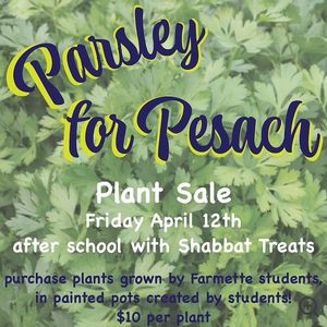 Image post by @denverjewishdayschool on Instagram
