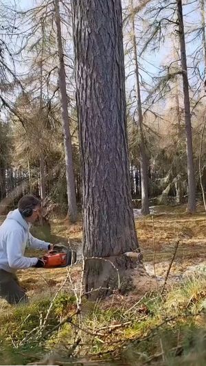 Video post by @kulpenberg_designs on Instagram