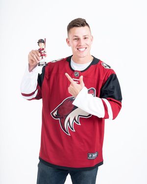 Image post by @arizonacoyotes on Instagram