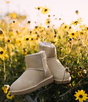 Image post by @ugg on Instagram