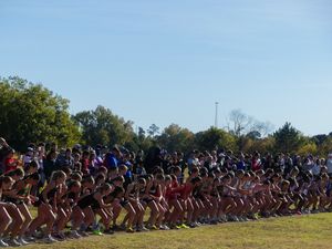 Image post by @giaasports on Instagram