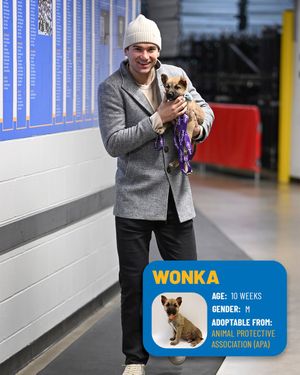 Image post by @StLouisBlues on Twitter