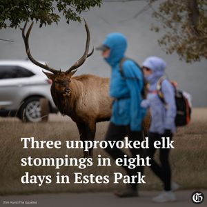 Image post by @co_gazette on Instagram