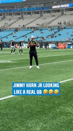 Video post by @panthers on TikTok