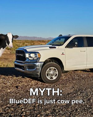 Image post by @bluedef_official on Instagram