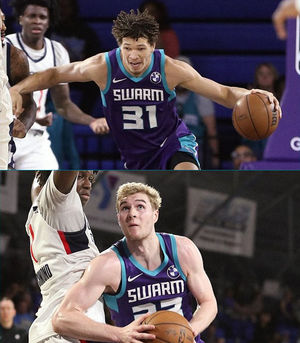 Image post by @HornetsReddit on Twitter