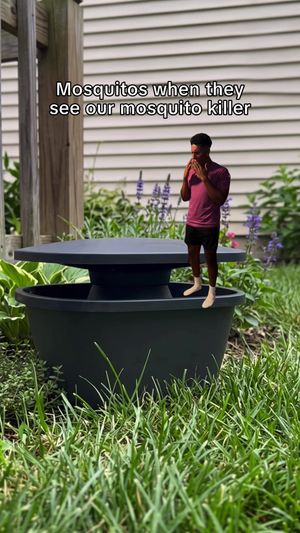 Video post by @ortho on TikTok