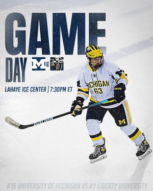 Image post by @umichwhockey on Instagram