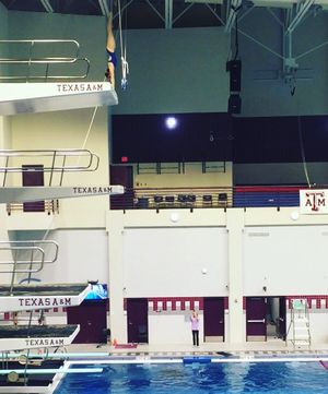 Image post by @lala_the_diver on Instagram