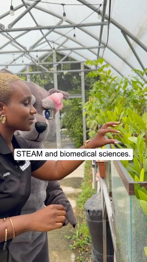 Video post by @miamischools on Facebook