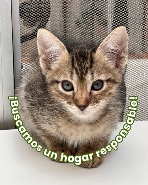 Image post by @tierradenando on Instagram