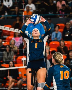 Image post by @utepvb on Instagram
