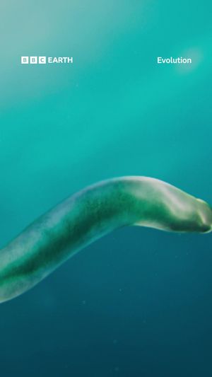 Video post by @bbcearth on TikTok