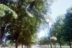 Video post by @berrycollege on TikTok