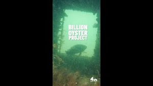 Video post by @nbcnewyork on YouTube