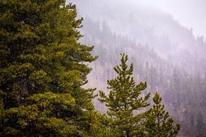 Image post by @skicrestedbutte on Instagram