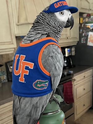 Image post by @barstoolflorida on Instagram