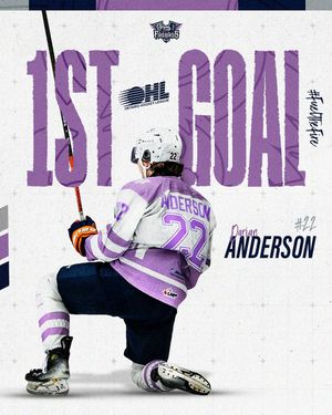 Image post by @flintfirebirds on Instagram