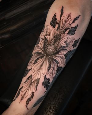 Image post by @sagaegrim on Instagram