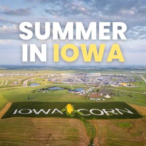 Video post by @iowachill on TikTok