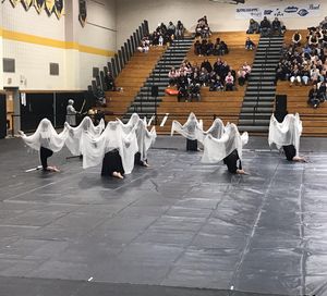 Image post by @wgisportofthearts on Instagram