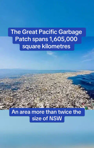 Image post by @dailymailau on TikTok
