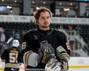 Image post by @HSKnights on Twitter