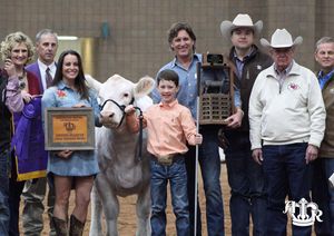 Image post by @american_royal on Instagram