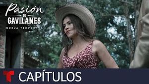 Video post by @telemundo on YouTube