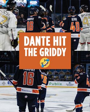 Image post by @swamprabbits on Instagram