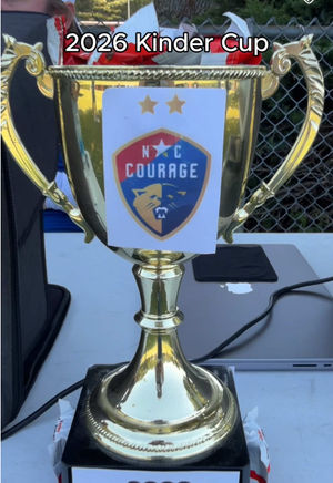 Video post by @thenccourage on TikTok