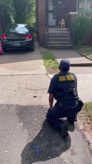 Video post by @DetroitGSD on Facebook