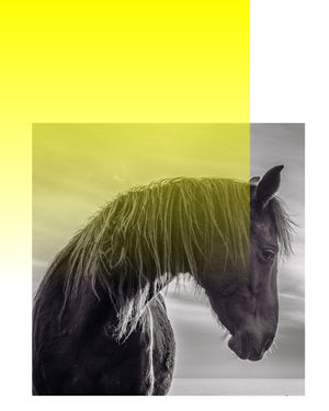 Image post by @memo.paris on Instagram