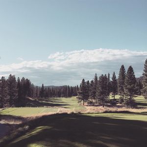 Image post by @lieandloft on Instagram
