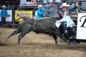Image post by @LarimerCountyFairAndRodeo on Facebook