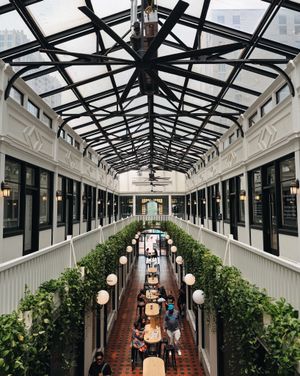Image post by @catcatoura on Instagram