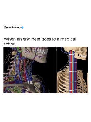Image post by @gravitonomy on Instagram