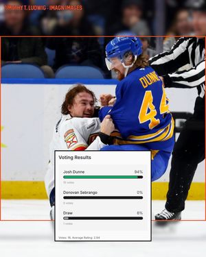 Image post by @hockeyfights on Instagram