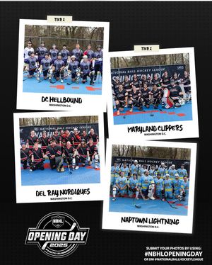 Image post by @nationalballhockeyleague on Instagram