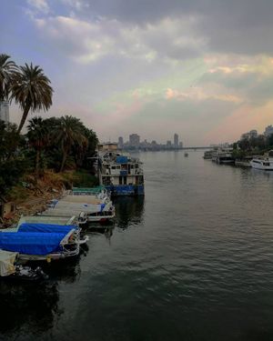Image post by @faragelo22 on Instagram