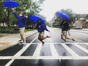 Image post by @newufgators on Instagram