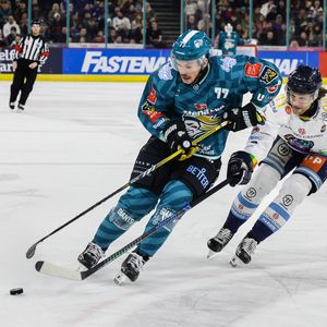 Image post by @belfastgiants on Instagram