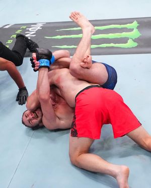 Image post by @ultimatefighter on Instagram