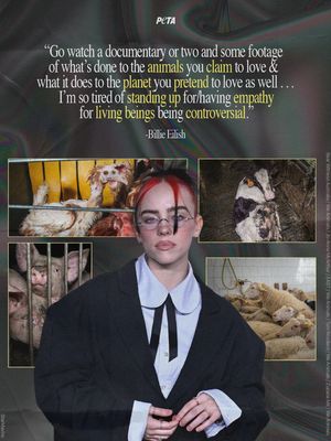 Image post by @peta on Instagram