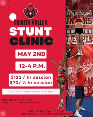 Image post by @cheer_station on Instagram