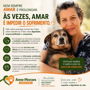 Image post by @annemoraesvereadora on Instagram